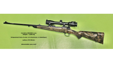 Carabine BRIANO Luxe Cal. 270 W