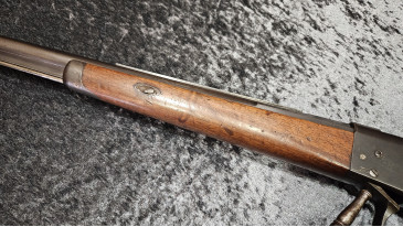 carabine de tir calibre 10,4 Vetterli percussion centrale