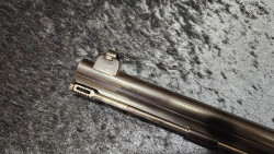 carabine de tir calibre 10,4 Vetterli percussion centrale