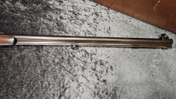 carabine de tir calibre 10,4 Vetterli percussion centrale