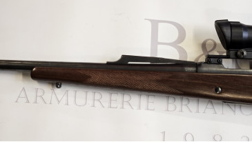 cz 550 medium 300 win mag + point rouge