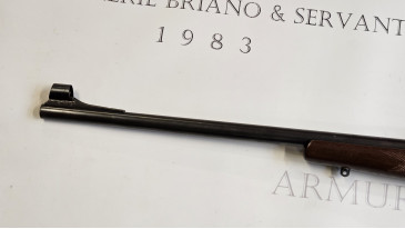 cz 550 medium 300 win mag + point rouge