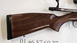 cz 550 medium 300 win mag + point rouge