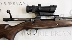 cz 550 medium 300 win mag + point rouge